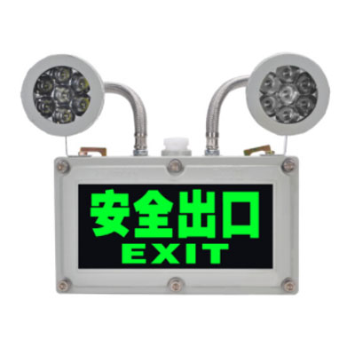 乐倪雅带蓄电池应急灯-2